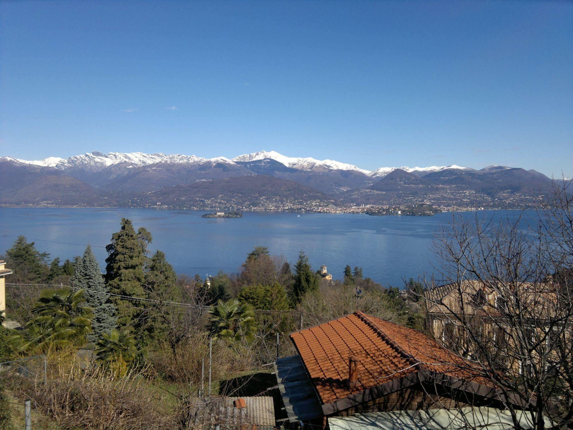 Lo Scoiattolo E La Noce Stresa